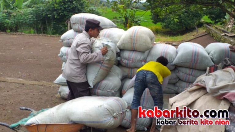 Berpakaian Polri Lengkap, Bhabinkamtibmas Polsek Kota Padang Angkat Karung Sekam