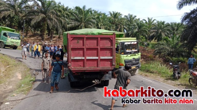 Tabrakan Truk Bermuatan Batu Bara, Sopir Tewas di TKP