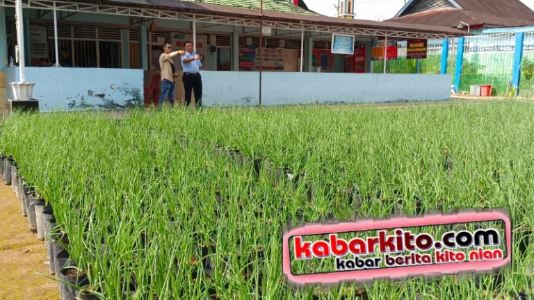 Lapas Curup Kembangkan Budidaya Bawang Merah