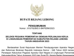 KABAR GEMBIRA! Pemerintah Kabupaten Rejang Lebong Buka Seleksi PPPK. Ini Formasi, Jadwal dan Syarat Selengkapnya