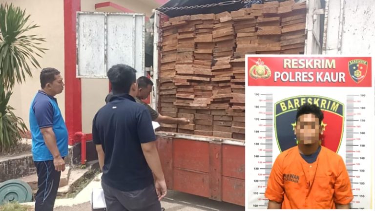 Polres Kaur Gagalkan Penyelundupan Kayu Meranti ke Pulau Jawa