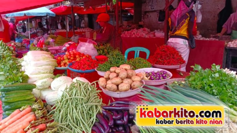 Harga Cabai di Rejang Lebong Melambung Tinggi, Tembus Rp 100 Ribu per Kilo